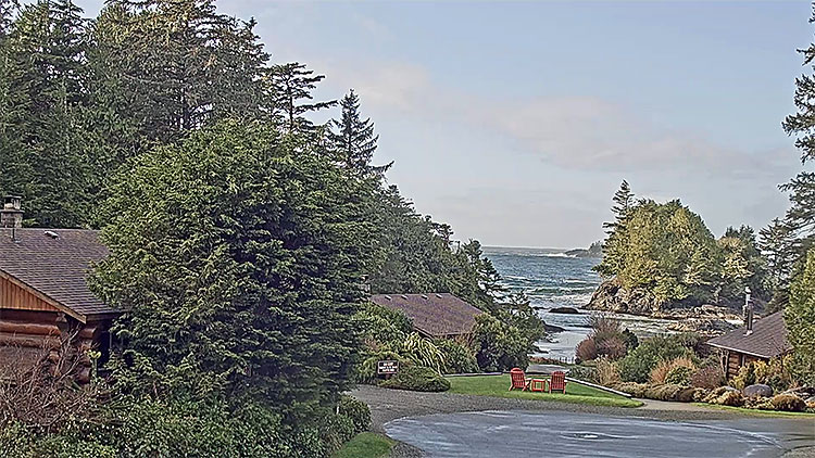 en/canada/british-columbia/crystal-cove-beach-resort-tofino