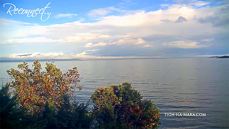 en/canada/british-columbia/tigh-na-mara-seaside-spa-resort