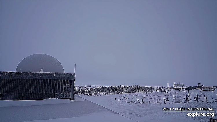 en/canada/manitoba/northern-lights-in-churchill