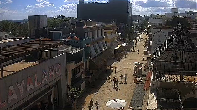 en/mexico/quintana-roo/playa-del-carmen-quinta-avenida