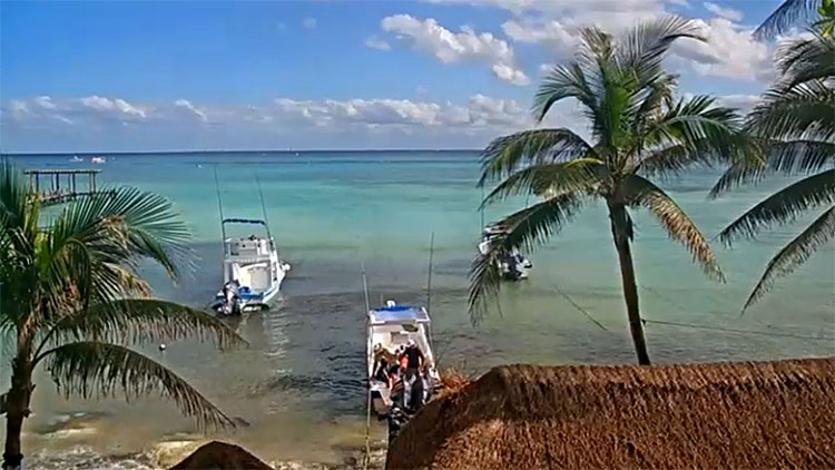 en/mexico/quintana-roo/playa-del-carmen