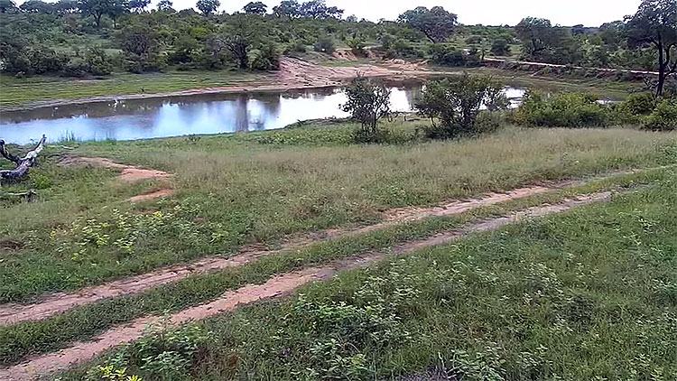 en/south-africa/mpumalanga/djuma-private-game-reserve