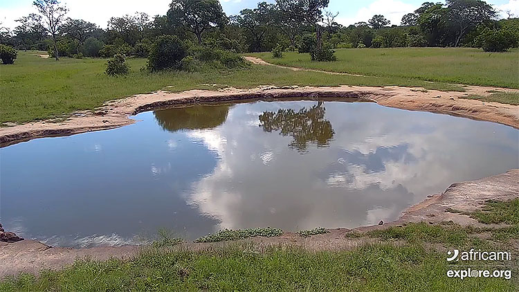 en/south-africa/mpumalanga/nkorho-bush-lodge