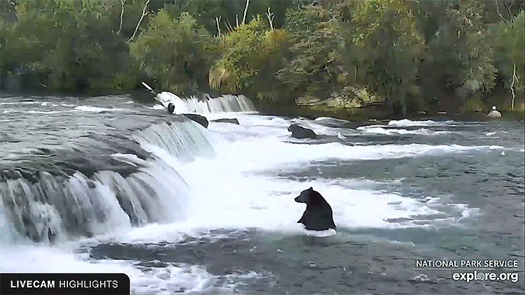 en/usa/alaska/brooks-falls-katmai-national-park