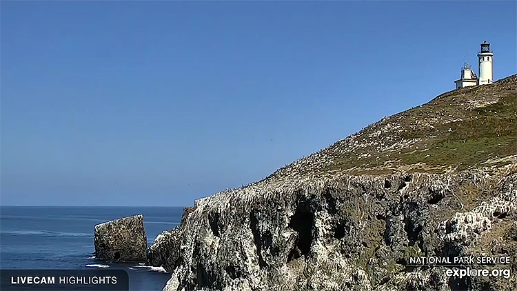 en/usa/california/anacapa-island-cove-channel-islands