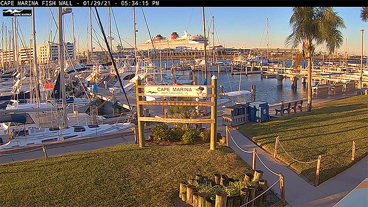 en/usa/florida/cape-marina-fish-wall