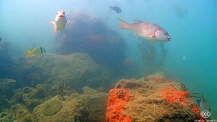 en/usa/florida/coral-city-portmiami