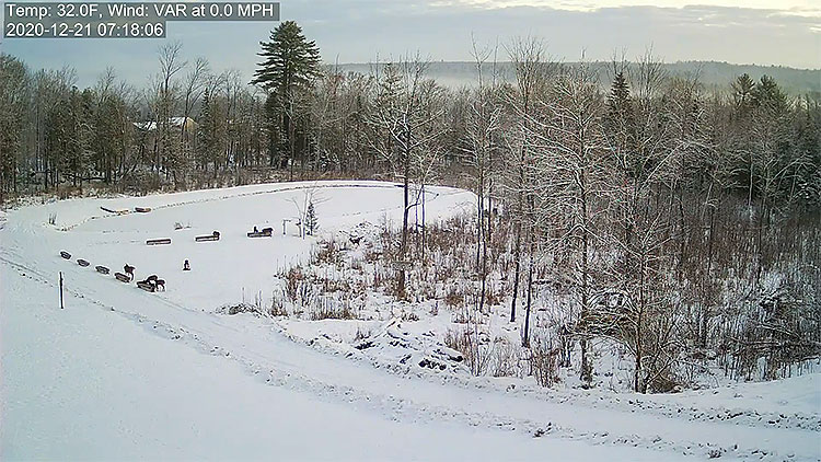 en/usa/maine/deer-pantry-distant-view