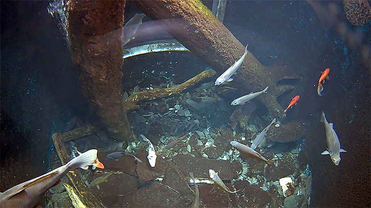 en/usa/vermont/echo-leahy-center-for-lake-champlain