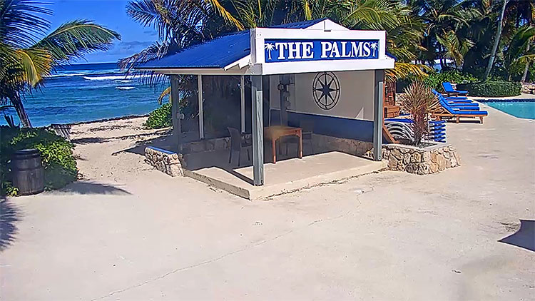 en/virgin-islands/saint-croix/the-palms-pelican-cove-beach